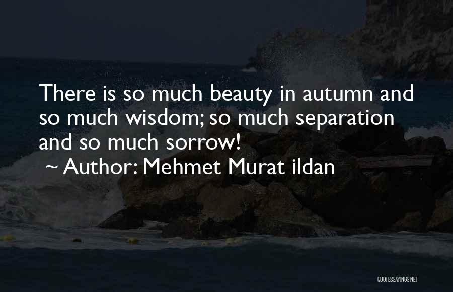 Mehmet Murat Ildan Quotes: There Is So Much Beauty In Autumn And So Much Wisdom; So Much Separation And So Much Sorrow!