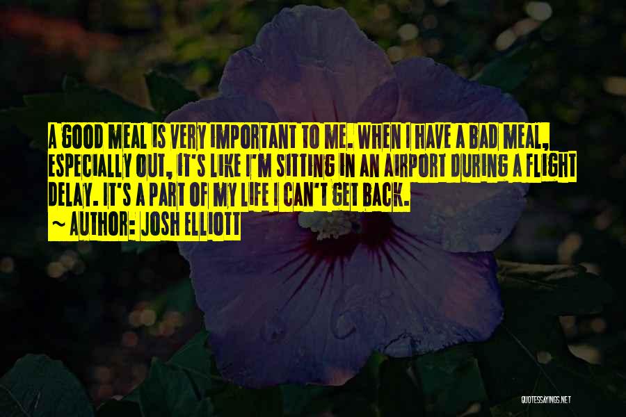 Josh Elliott Quotes: A Good Meal Is Very Important To Me. When I Have A Bad Meal, Especially Out, It's Like I'm Sitting