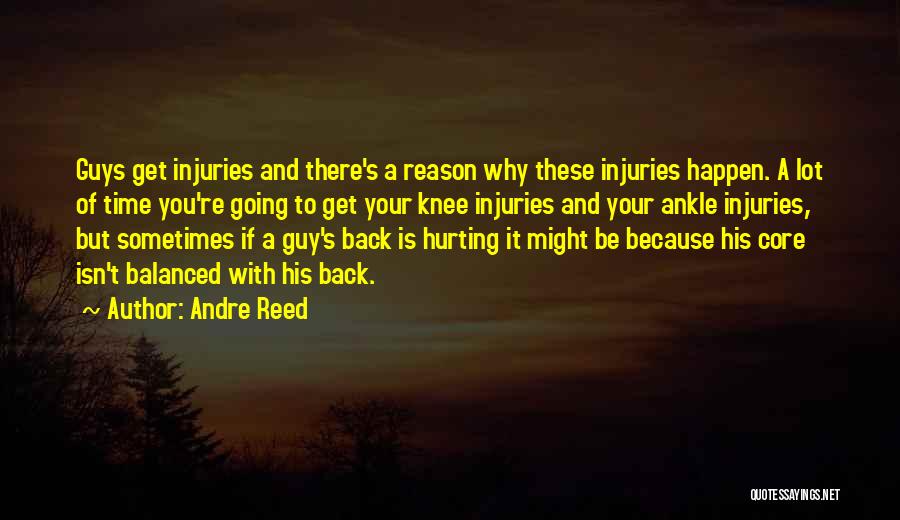 Andre Reed Quotes: Guys Get Injuries And There's A Reason Why These Injuries Happen. A Lot Of Time You're Going To Get Your