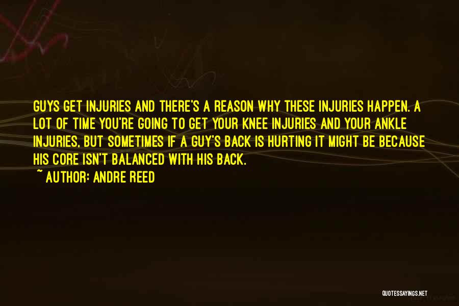 Andre Reed Quotes: Guys Get Injuries And There's A Reason Why These Injuries Happen. A Lot Of Time You're Going To Get Your