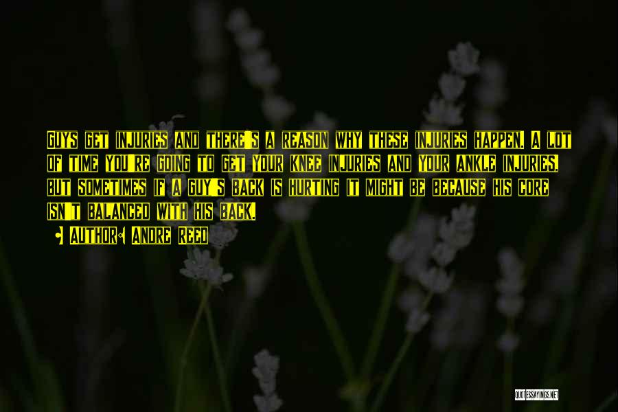 Andre Reed Quotes: Guys Get Injuries And There's A Reason Why These Injuries Happen. A Lot Of Time You're Going To Get Your