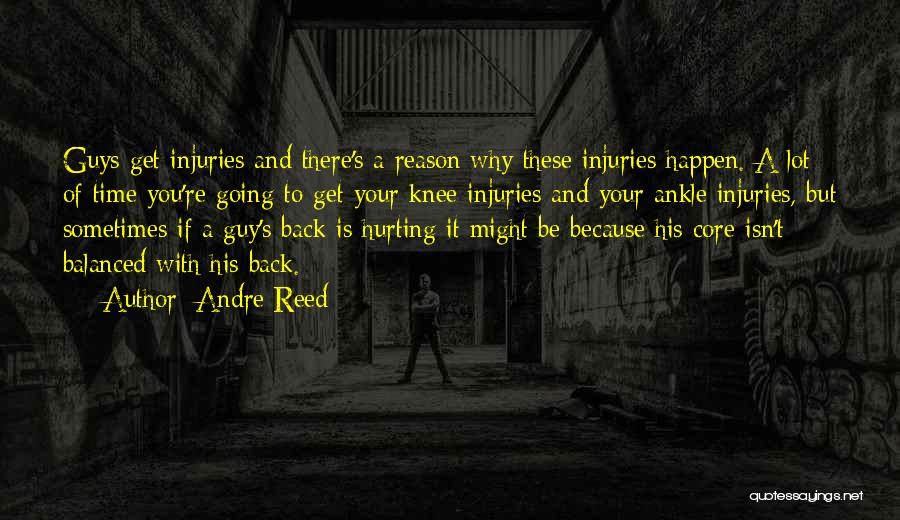 Andre Reed Quotes: Guys Get Injuries And There's A Reason Why These Injuries Happen. A Lot Of Time You're Going To Get Your