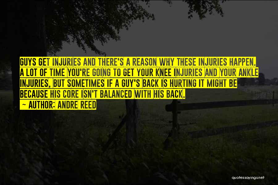 Andre Reed Quotes: Guys Get Injuries And There's A Reason Why These Injuries Happen. A Lot Of Time You're Going To Get Your