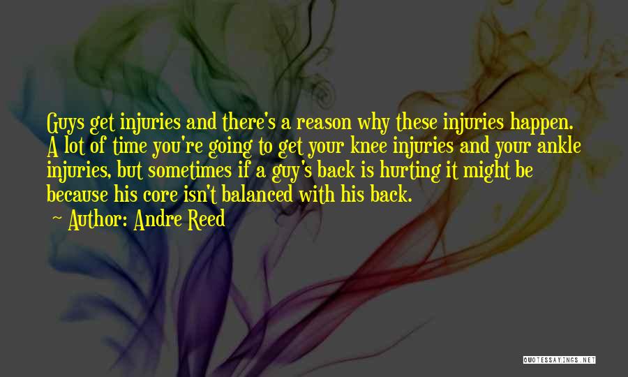 Andre Reed Quotes: Guys Get Injuries And There's A Reason Why These Injuries Happen. A Lot Of Time You're Going To Get Your