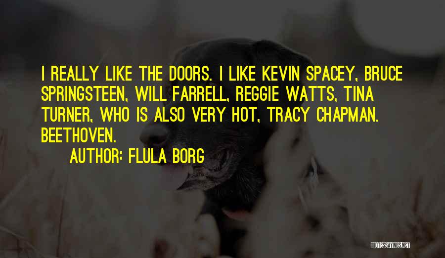Flula Borg Quotes: I Really Like The Doors. I Like Kevin Spacey, Bruce Springsteen, Will Farrell, Reggie Watts, Tina Turner, Who Is Also
