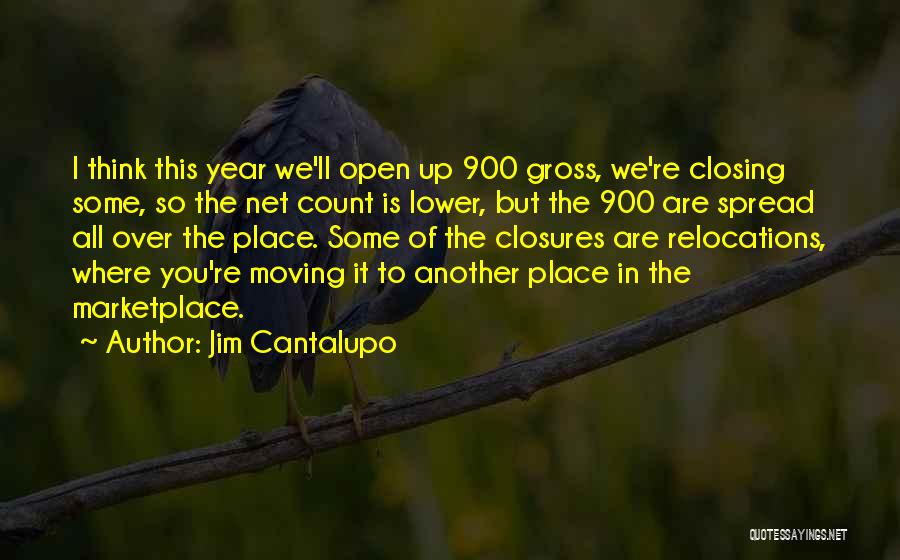 Jim Cantalupo Quotes: I Think This Year We'll Open Up 900 Gross, We're Closing Some, So The Net Count Is Lower, But The
