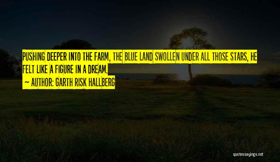 Garth Risk Hallberg Quotes: Pushing Deeper Into The Farm, The Blue Land Swollen Under All Those Stars, He Felt Like A Figure In A