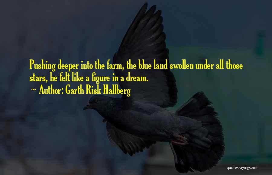 Garth Risk Hallberg Quotes: Pushing Deeper Into The Farm, The Blue Land Swollen Under All Those Stars, He Felt Like A Figure In A