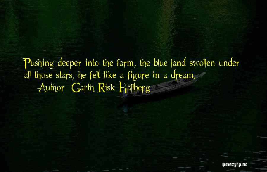 Garth Risk Hallberg Quotes: Pushing Deeper Into The Farm, The Blue Land Swollen Under All Those Stars, He Felt Like A Figure In A