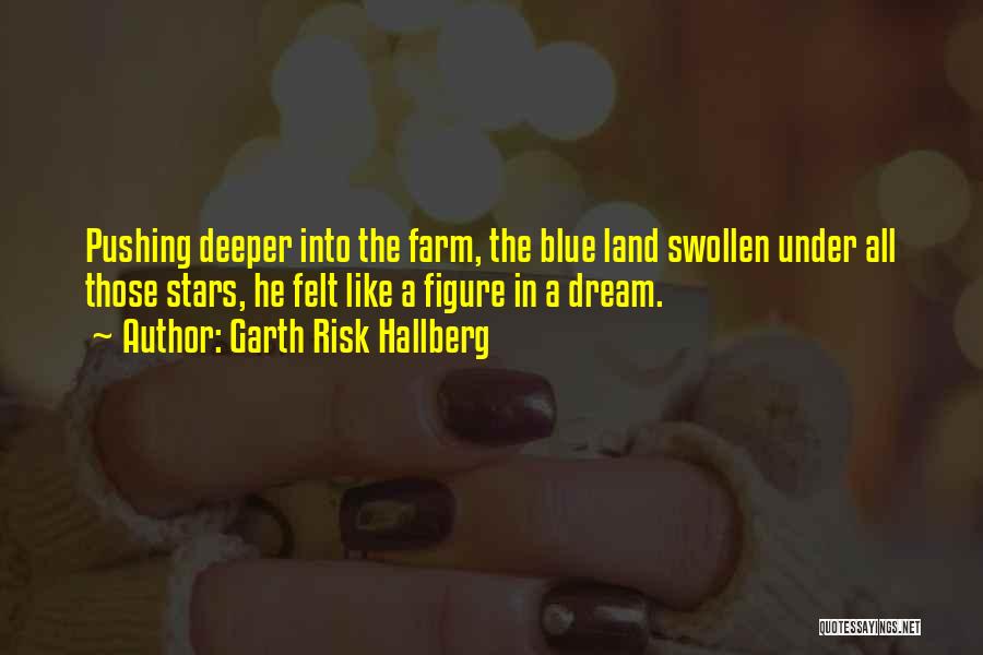 Garth Risk Hallberg Quotes: Pushing Deeper Into The Farm, The Blue Land Swollen Under All Those Stars, He Felt Like A Figure In A