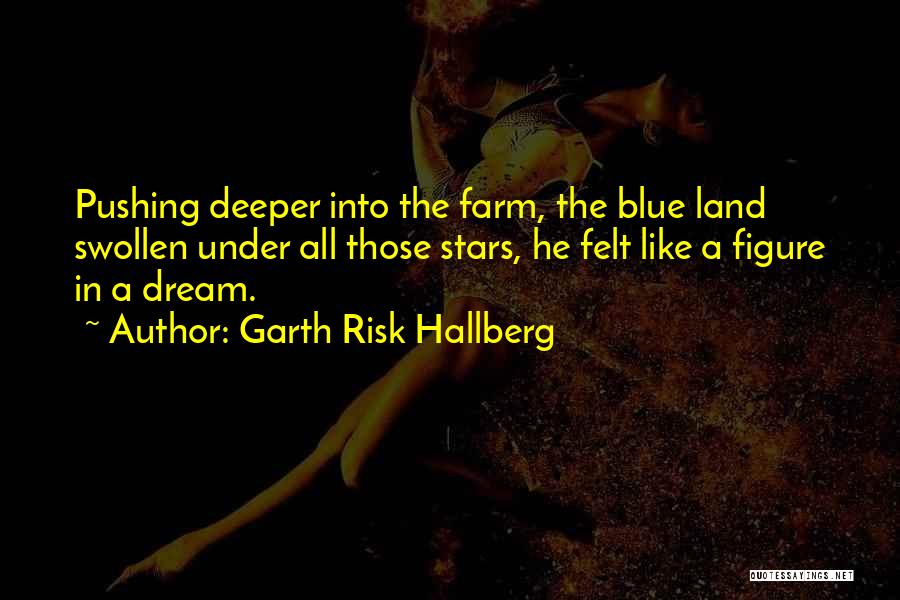 Garth Risk Hallberg Quotes: Pushing Deeper Into The Farm, The Blue Land Swollen Under All Those Stars, He Felt Like A Figure In A