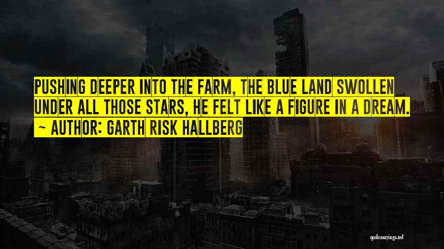 Garth Risk Hallberg Quotes: Pushing Deeper Into The Farm, The Blue Land Swollen Under All Those Stars, He Felt Like A Figure In A