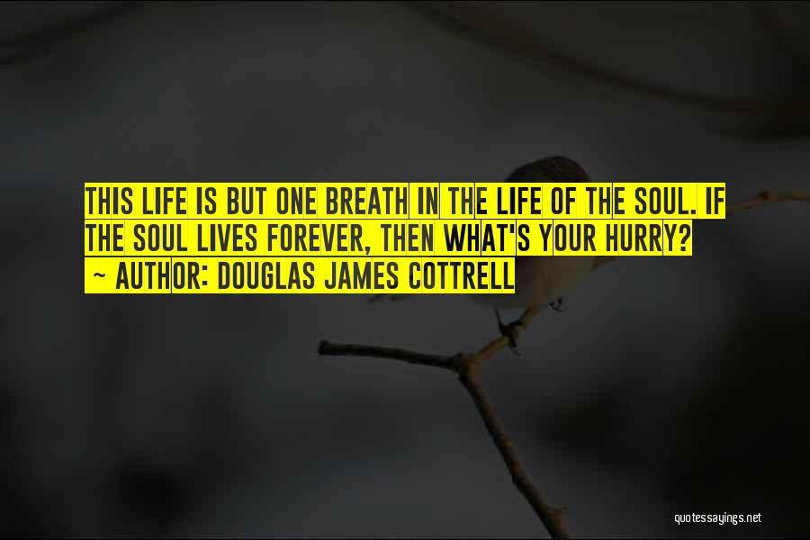 Douglas James Cottrell Quotes: This Life Is But One Breath In The Life Of The Soul. If The Soul Lives Forever, Then What's Your