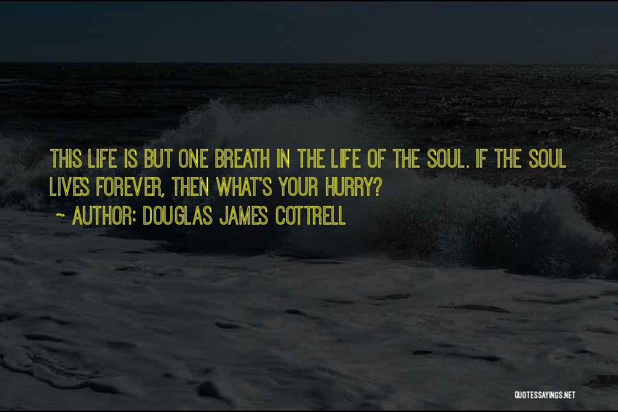 Douglas James Cottrell Quotes: This Life Is But One Breath In The Life Of The Soul. If The Soul Lives Forever, Then What's Your