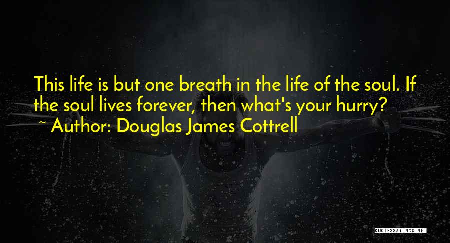 Douglas James Cottrell Quotes: This Life Is But One Breath In The Life Of The Soul. If The Soul Lives Forever, Then What's Your