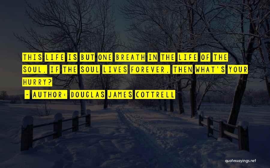 Douglas James Cottrell Quotes: This Life Is But One Breath In The Life Of The Soul. If The Soul Lives Forever, Then What's Your