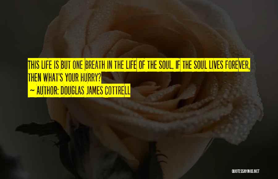 Douglas James Cottrell Quotes: This Life Is But One Breath In The Life Of The Soul. If The Soul Lives Forever, Then What's Your