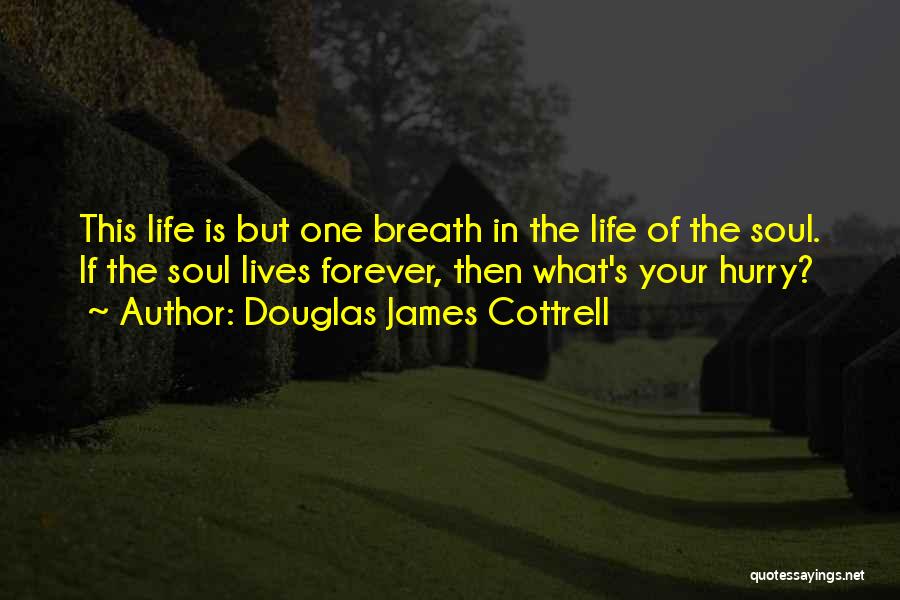 Douglas James Cottrell Quotes: This Life Is But One Breath In The Life Of The Soul. If The Soul Lives Forever, Then What's Your
