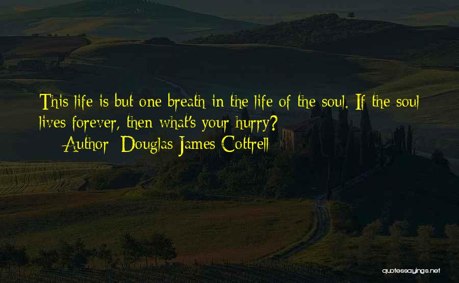 Douglas James Cottrell Quotes: This Life Is But One Breath In The Life Of The Soul. If The Soul Lives Forever, Then What's Your