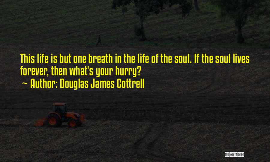 Douglas James Cottrell Quotes: This Life Is But One Breath In The Life Of The Soul. If The Soul Lives Forever, Then What's Your