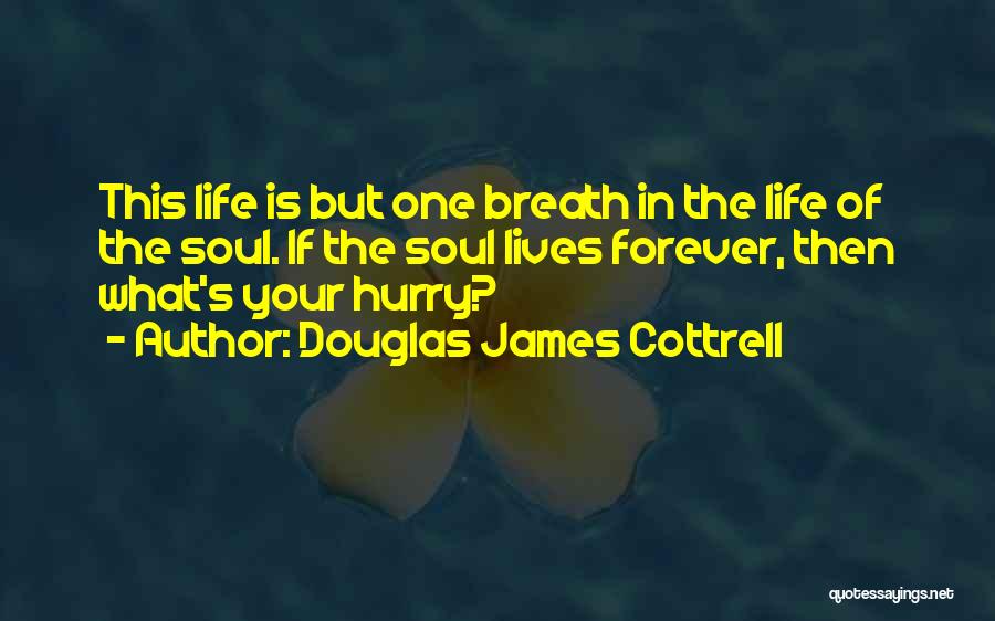 Douglas James Cottrell Quotes: This Life Is But One Breath In The Life Of The Soul. If The Soul Lives Forever, Then What's Your