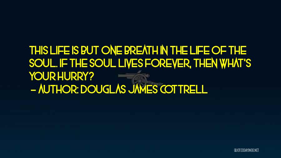 Douglas James Cottrell Quotes: This Life Is But One Breath In The Life Of The Soul. If The Soul Lives Forever, Then What's Your