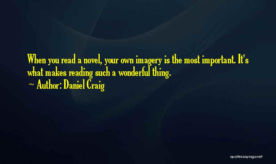 Daniel Craig Quotes: When You Read A Novel, Your Own Imagery Is The Most Important. It's What Makes Reading Such A Wonderful Thing.