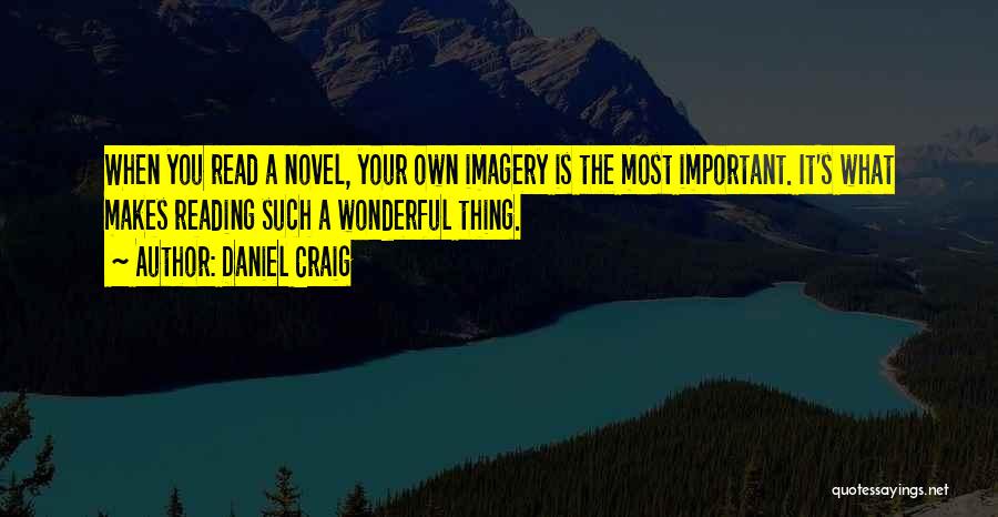 Daniel Craig Quotes: When You Read A Novel, Your Own Imagery Is The Most Important. It's What Makes Reading Such A Wonderful Thing.