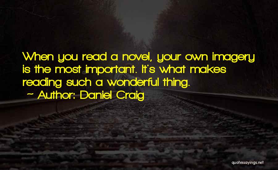 Daniel Craig Quotes: When You Read A Novel, Your Own Imagery Is The Most Important. It's What Makes Reading Such A Wonderful Thing.