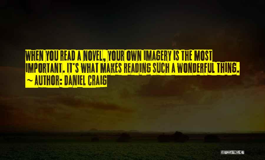 Daniel Craig Quotes: When You Read A Novel, Your Own Imagery Is The Most Important. It's What Makes Reading Such A Wonderful Thing.