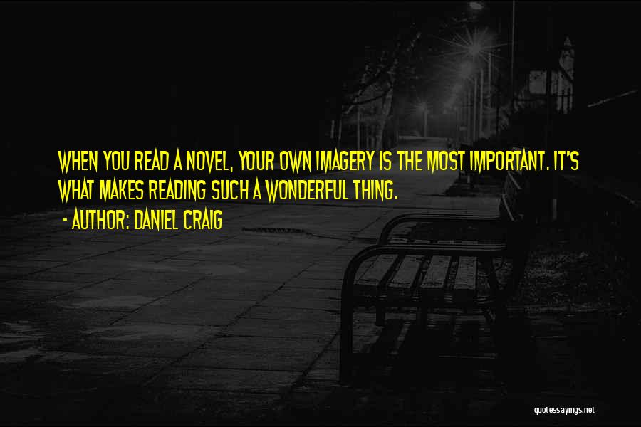 Daniel Craig Quotes: When You Read A Novel, Your Own Imagery Is The Most Important. It's What Makes Reading Such A Wonderful Thing.