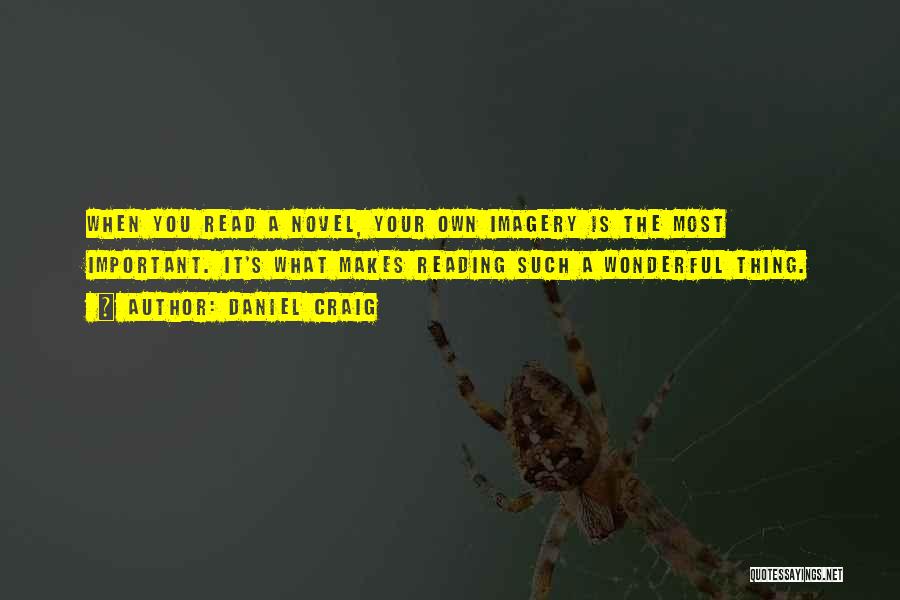 Daniel Craig Quotes: When You Read A Novel, Your Own Imagery Is The Most Important. It's What Makes Reading Such A Wonderful Thing.
