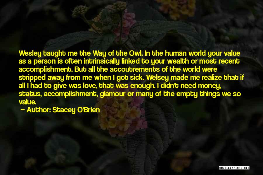Stacey O'Brien Quotes: Wesley Taught Me The Way Of The Owl. In The Human World Your Value As A Person Is Often Intrinsically