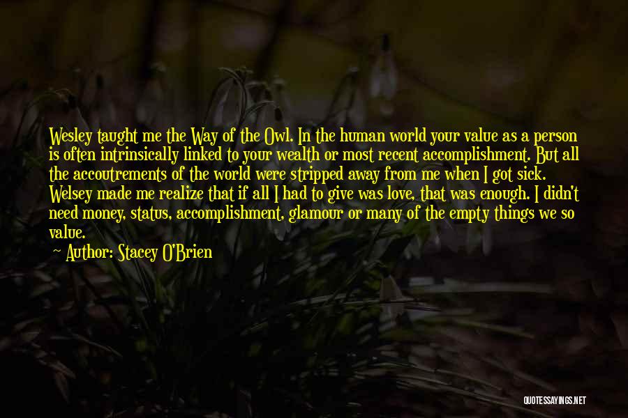 Stacey O'Brien Quotes: Wesley Taught Me The Way Of The Owl. In The Human World Your Value As A Person Is Often Intrinsically