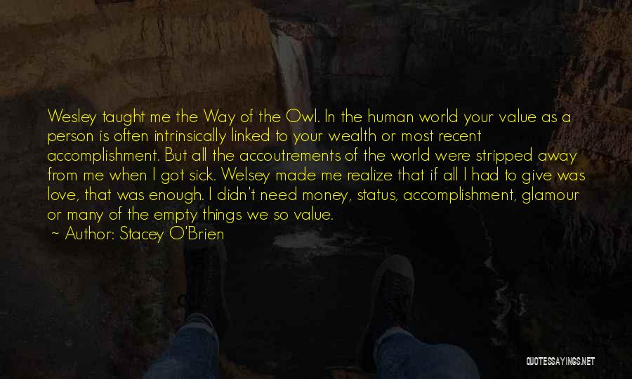 Stacey O'Brien Quotes: Wesley Taught Me The Way Of The Owl. In The Human World Your Value As A Person Is Often Intrinsically