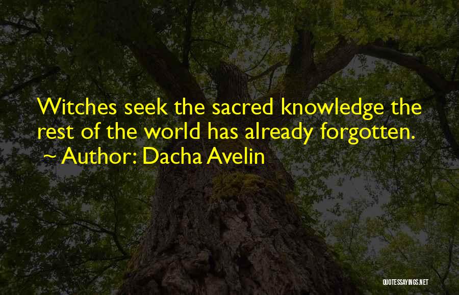 Dacha Avelin Quotes: Witches Seek The Sacred Knowledge The Rest Of The World Has Already Forgotten.