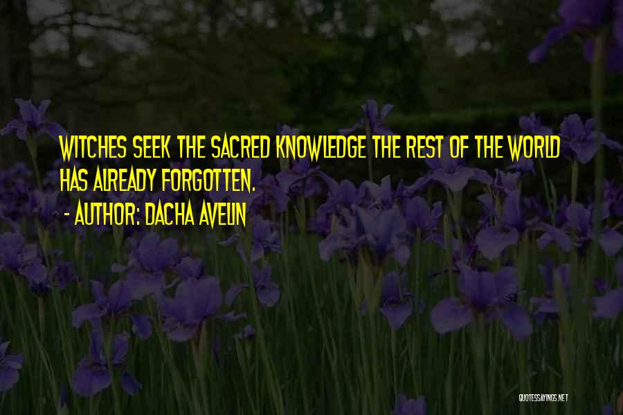 Dacha Avelin Quotes: Witches Seek The Sacred Knowledge The Rest Of The World Has Already Forgotten.