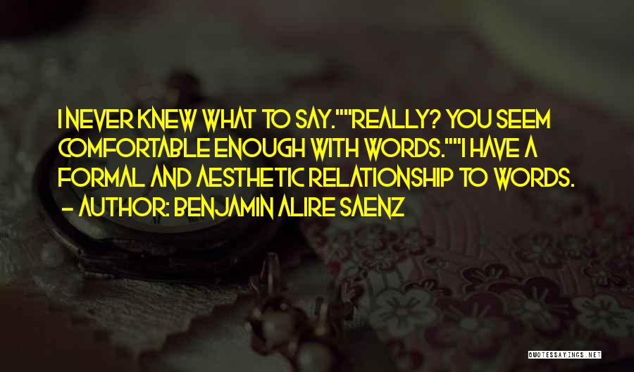 Benjamin Alire Saenz Quotes: I Never Knew What To Say.really? You Seem Comfortable Enough With Words.i Have A Formal And Aesthetic Relationship To Words.