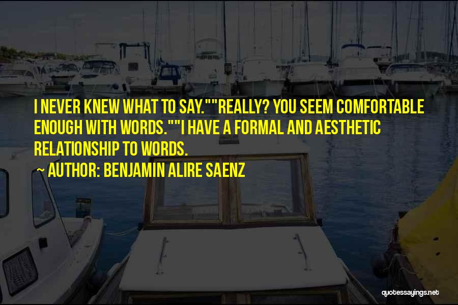 Benjamin Alire Saenz Quotes: I Never Knew What To Say.really? You Seem Comfortable Enough With Words.i Have A Formal And Aesthetic Relationship To Words.