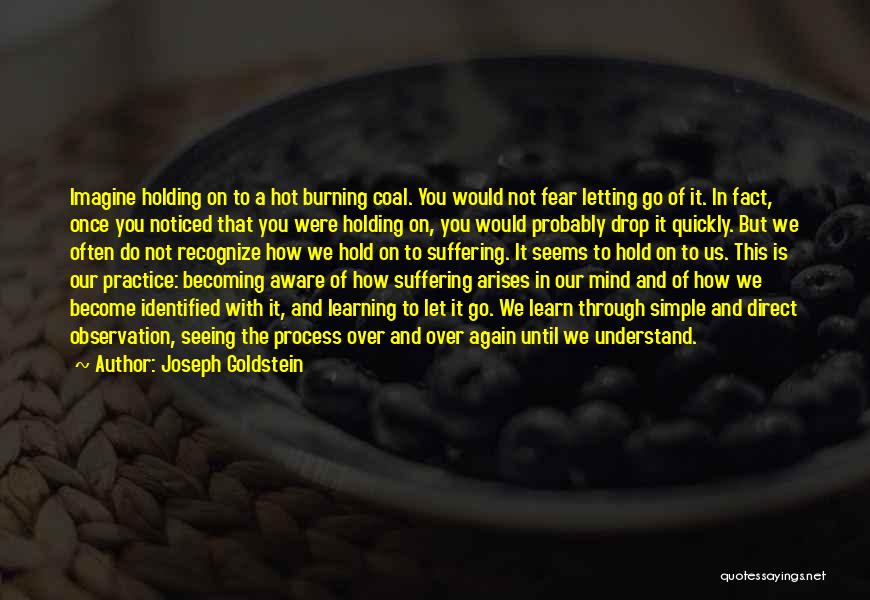 Joseph Goldstein Quotes: Imagine Holding On To A Hot Burning Coal. You Would Not Fear Letting Go Of It. In Fact, Once You