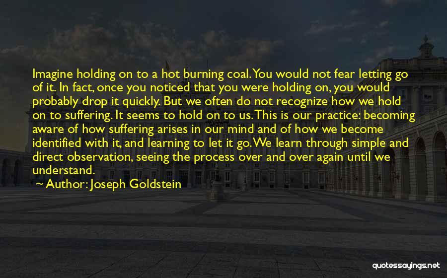 Joseph Goldstein Quotes: Imagine Holding On To A Hot Burning Coal. You Would Not Fear Letting Go Of It. In Fact, Once You