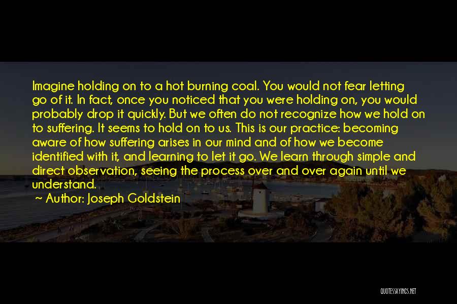 Joseph Goldstein Quotes: Imagine Holding On To A Hot Burning Coal. You Would Not Fear Letting Go Of It. In Fact, Once You