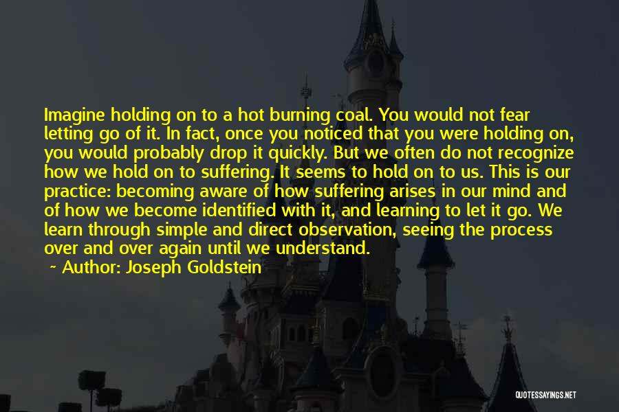 Joseph Goldstein Quotes: Imagine Holding On To A Hot Burning Coal. You Would Not Fear Letting Go Of It. In Fact, Once You