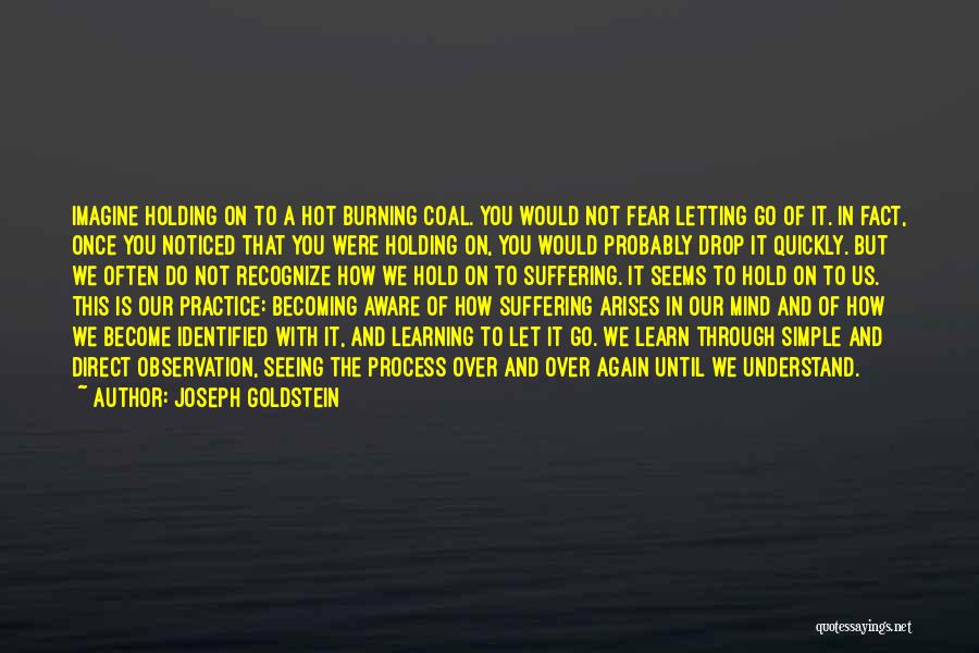 Joseph Goldstein Quotes: Imagine Holding On To A Hot Burning Coal. You Would Not Fear Letting Go Of It. In Fact, Once You