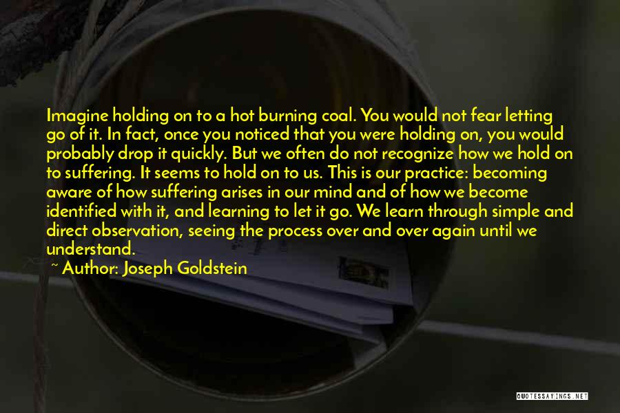 Joseph Goldstein Quotes: Imagine Holding On To A Hot Burning Coal. You Would Not Fear Letting Go Of It. In Fact, Once You