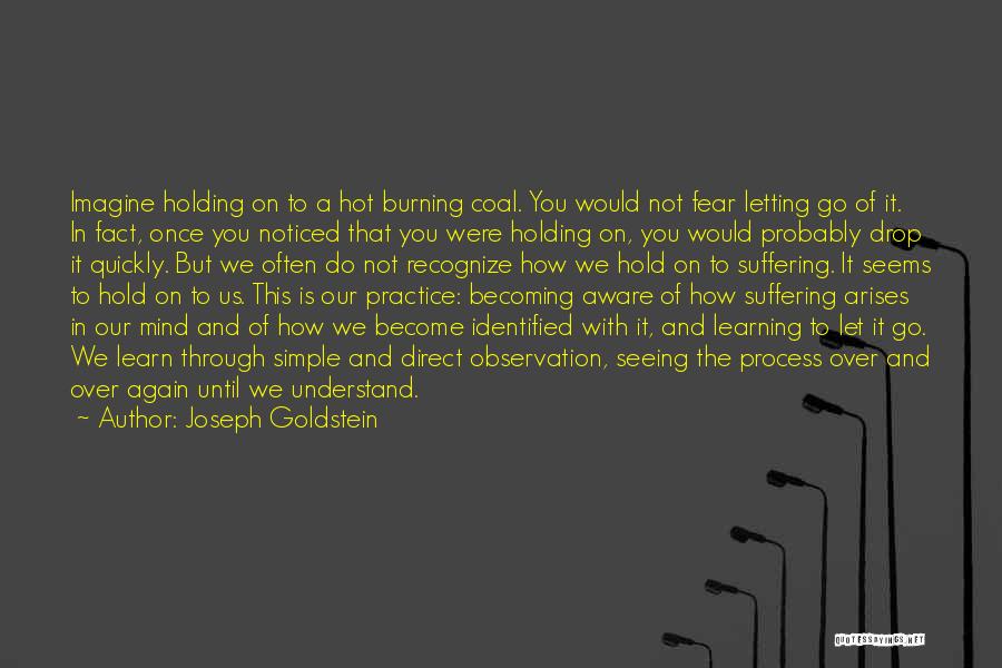 Joseph Goldstein Quotes: Imagine Holding On To A Hot Burning Coal. You Would Not Fear Letting Go Of It. In Fact, Once You