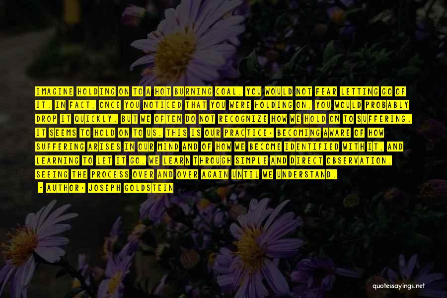 Joseph Goldstein Quotes: Imagine Holding On To A Hot Burning Coal. You Would Not Fear Letting Go Of It. In Fact, Once You