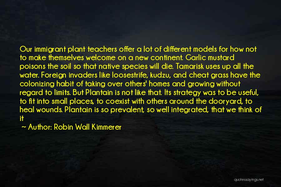 Robin Wall Kimmerer Quotes: Our Immigrant Plant Teachers Offer A Lot Of Different Models For How Not To Make Themselves Welcome On A New