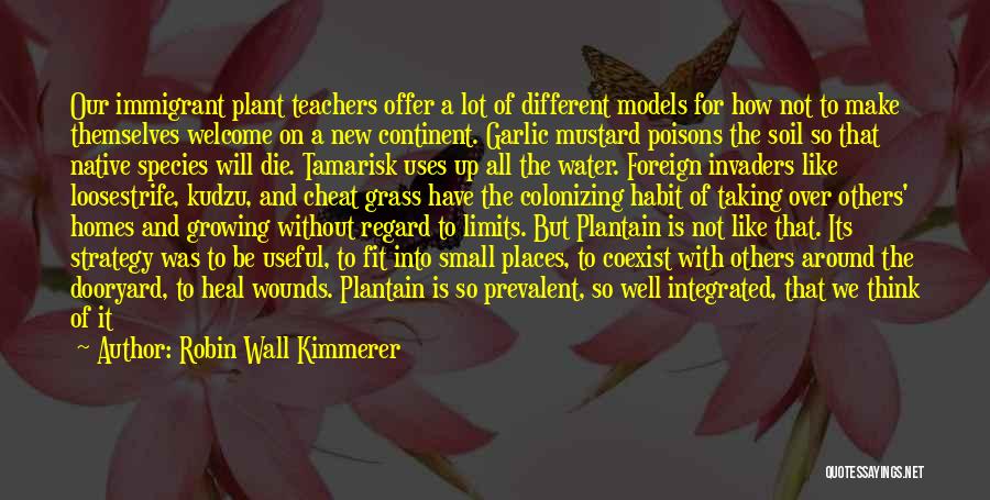 Robin Wall Kimmerer Quotes: Our Immigrant Plant Teachers Offer A Lot Of Different Models For How Not To Make Themselves Welcome On A New