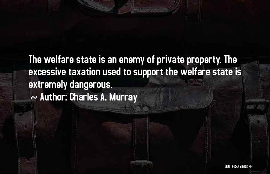 Charles A. Murray Quotes: The Welfare State Is An Enemy Of Private Property. The Excessive Taxation Used To Support The Welfare State Is Extremely